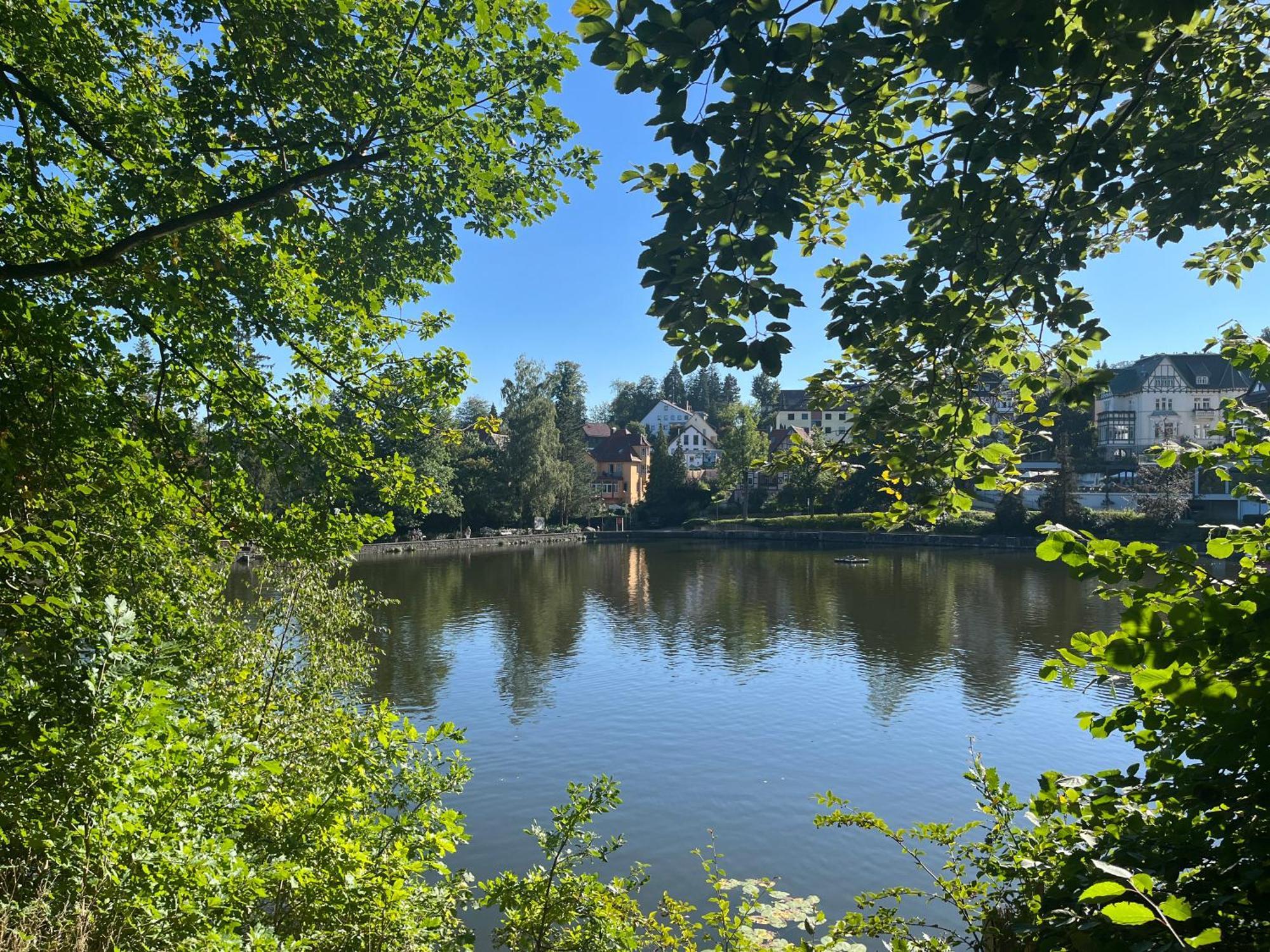 Haus Am See Bad Sachsa Esterno foto