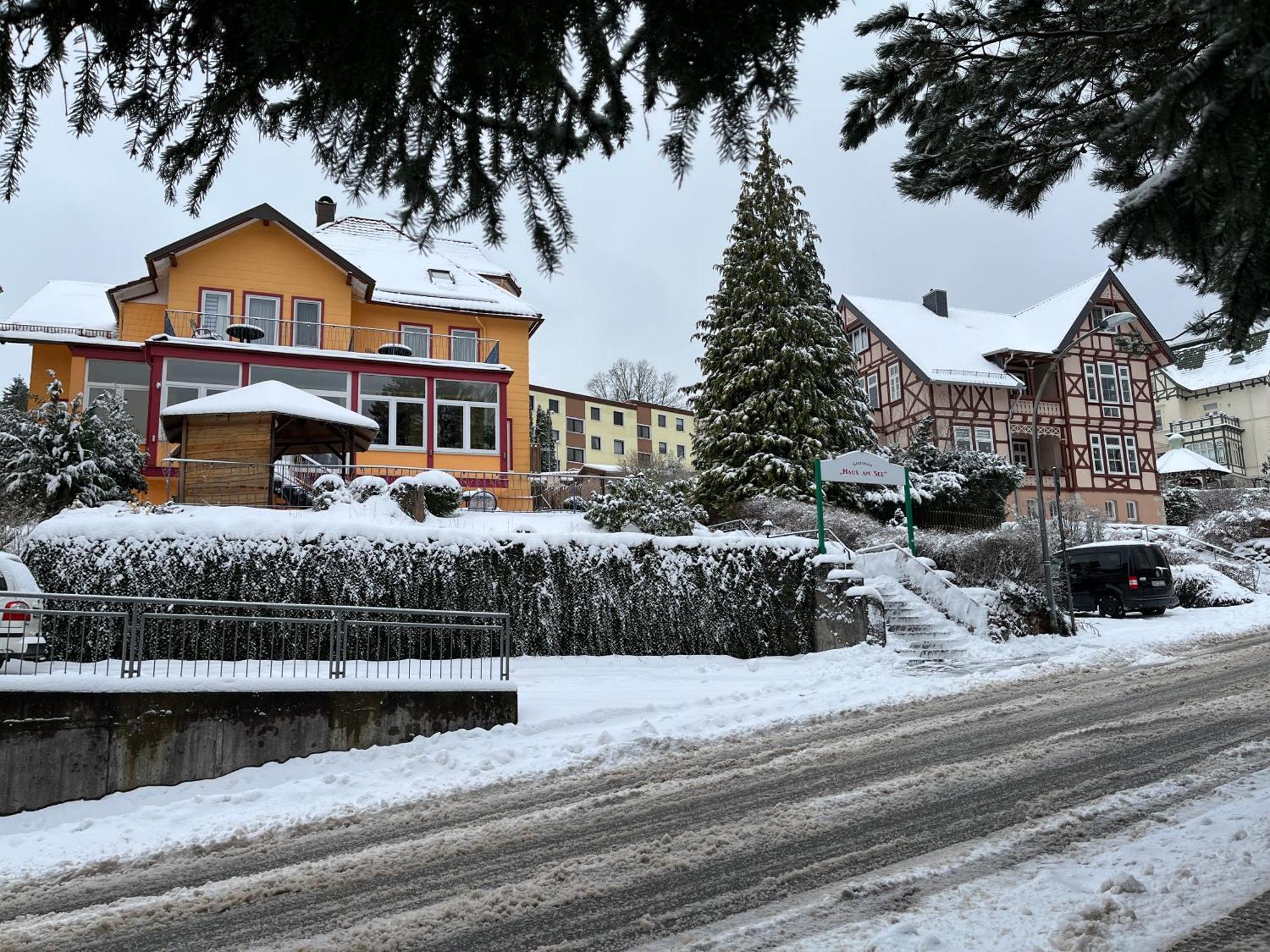 Haus Am See Bad Sachsa Esterno foto
